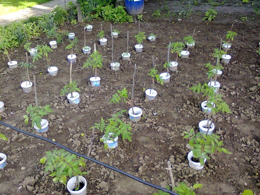 Fotografie5219 - 2019 CONCEDIU VILA SEBASTIAN19V-2VI