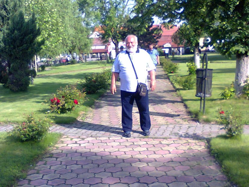 Fotografie5222 - 2019 CONCEDIU VILA SEBASTIAN19V-2VI