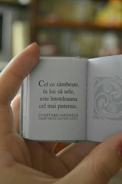 intodeauna - 2019 CONCEDIU VILA SEBASTIAN19V-2VI