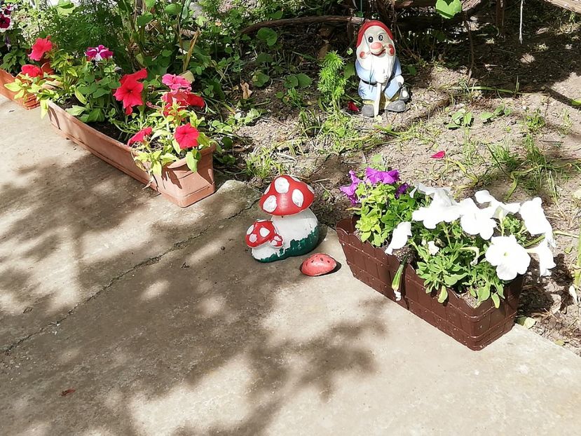  - 0-2019 - De prin curte