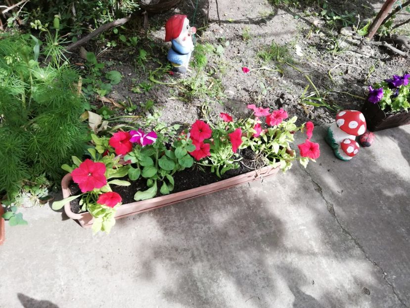  - 0-2019 - De prin curte