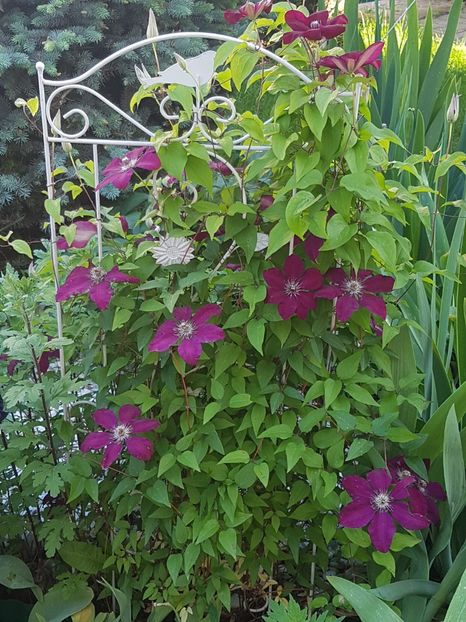 Westerplatte - Mai 2019