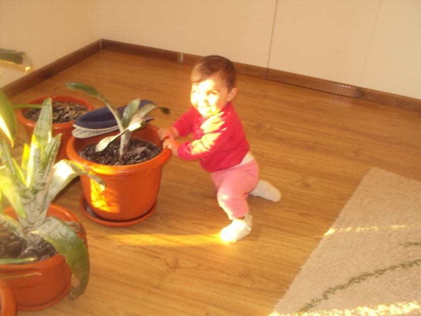  - Adelina Ioana 3
