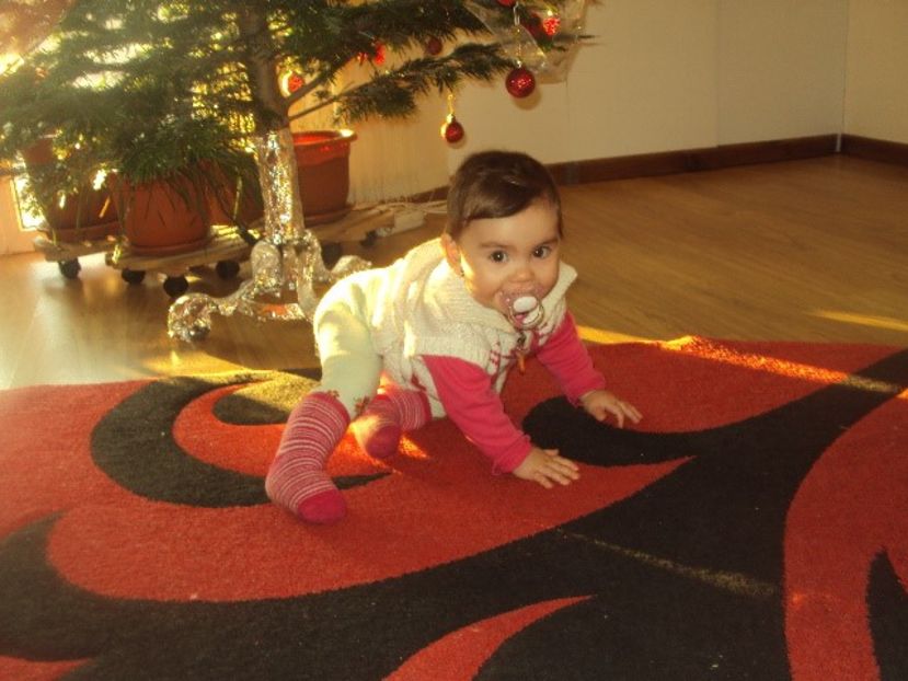  - Adelina Ioana 3