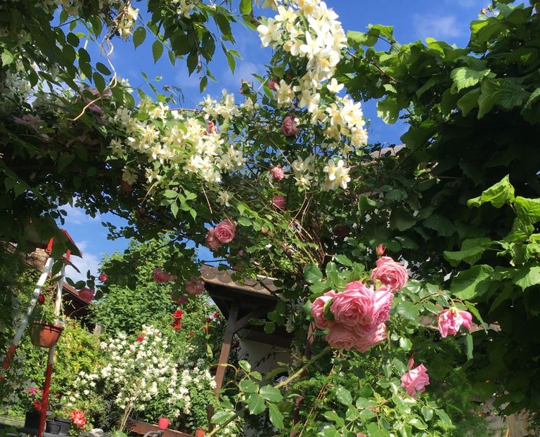 B23C0D8E-1060-4970-9ED5-6936AA11C53E - Mai 2019