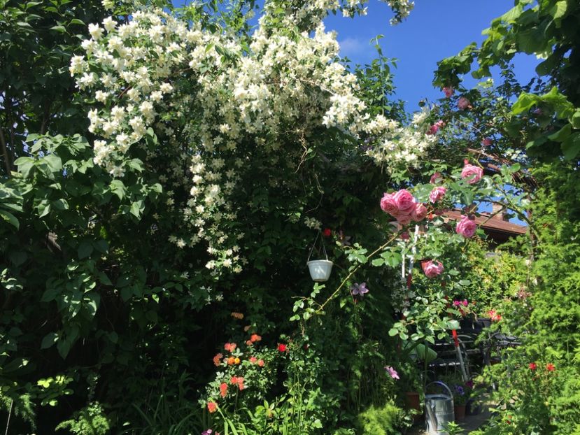 15529DAC-E92A-44BE-9131-D4DA59168FDB - Mai 2019