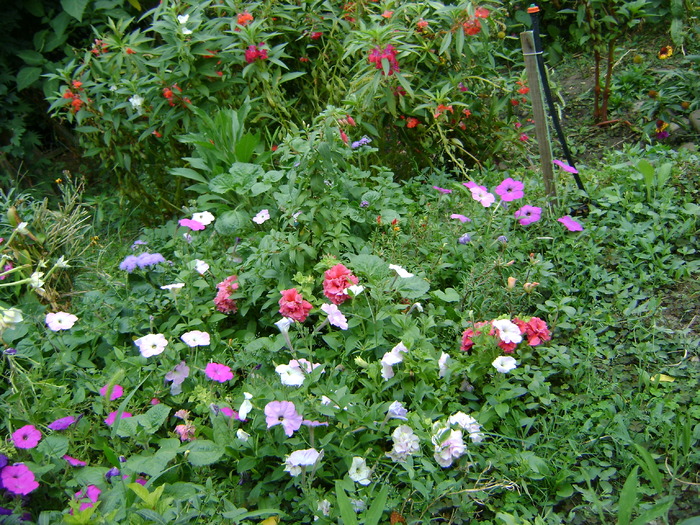 DSC01604