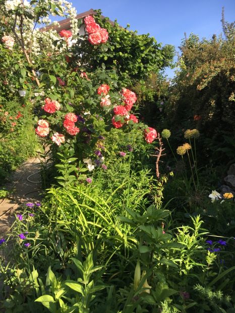 31128CA3-0D40-460C-9318-A63E22C06638 - Mai 2019