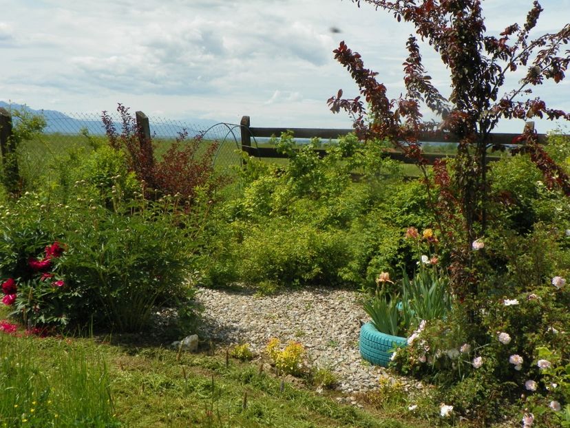 27 mai (105) - Dobarland 2019 2