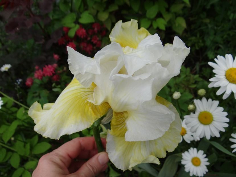 Melted Butter - mai spre final