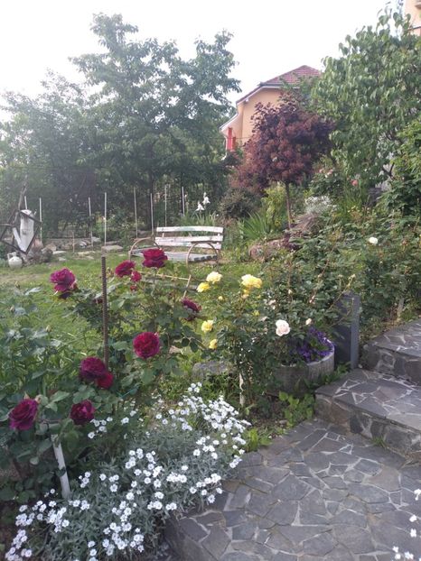  - Gradina mai 2019
