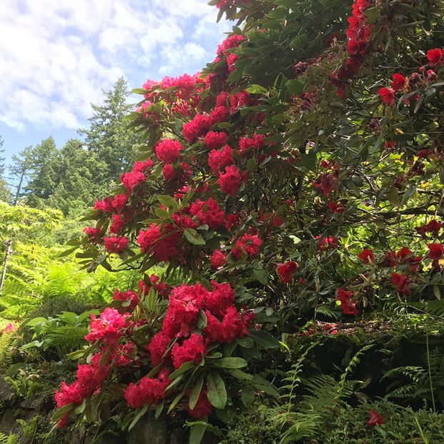  - The Butchart Gardens