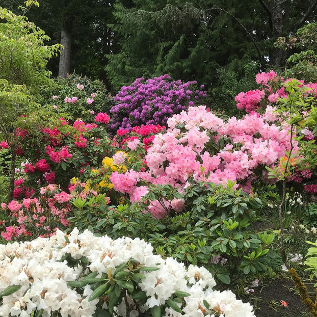  - The Butchart Gardens