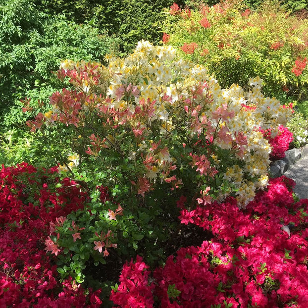  - The Butchart Gardens