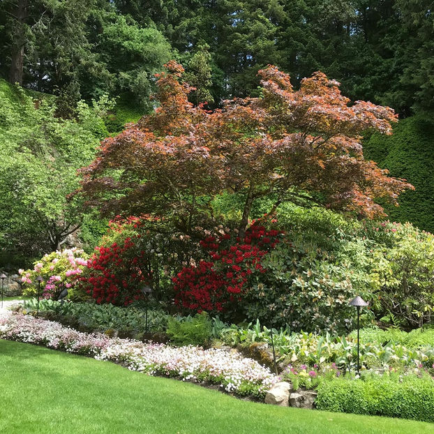  - The Butchart Gardens