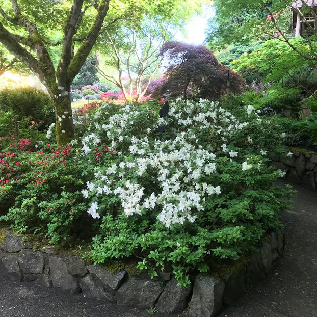  - The Butchart Gardens
