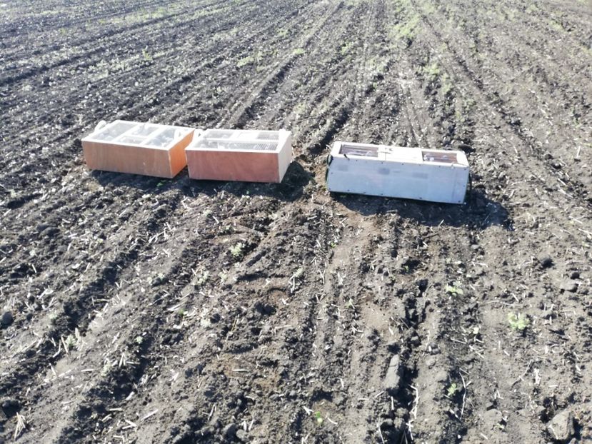  - 2019-MAI-PUI-ZBURATORI-ANTRENAMENTE