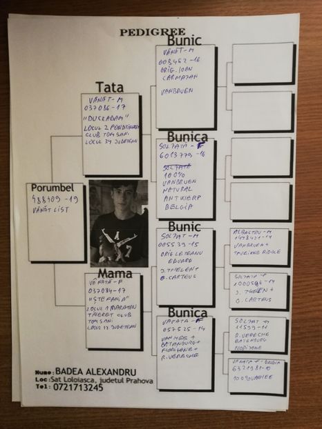  - 2019-MAI-PUI-ZBURATORI-ANTRENAMENTE