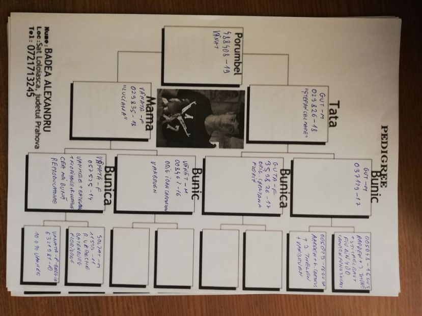  - 2019-MAI-PUI-ZBURATORI-ANTRENAMENTE