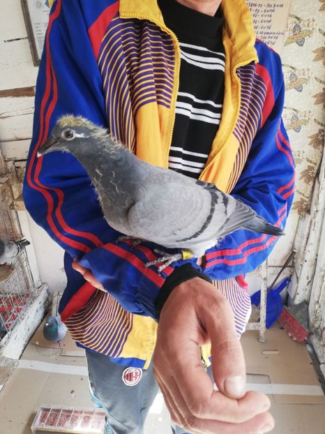  - 2019-MAI-PUI-ZBURATORI-ANTRENAMENTE