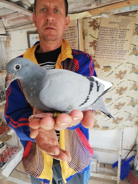  - 2019-MAI-PUI-ZBURATORI-ANTRENAMENTE