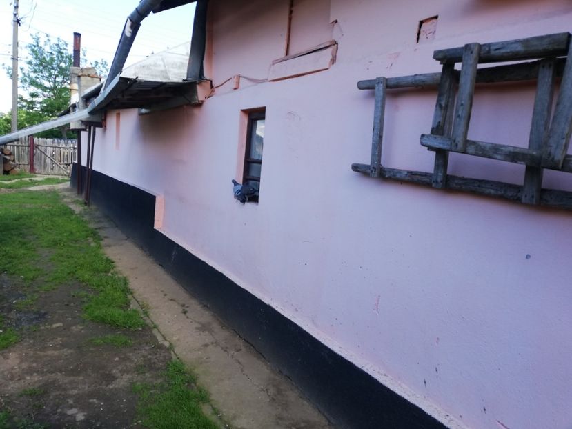  - 2019-MAI-PUI-ZBURATORI-ANTRENAMENTE