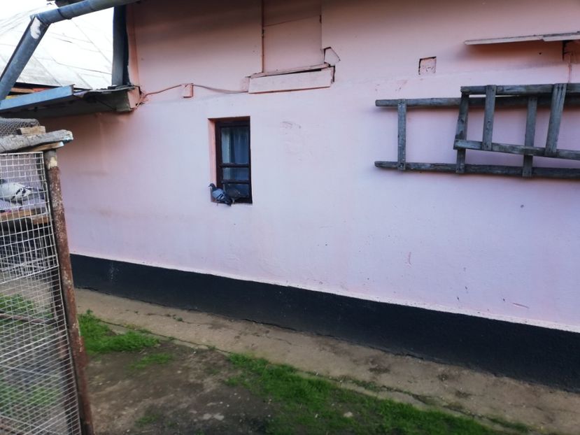  - 2019-MAI-PUI-ZBURATORI-ANTRENAMENTE