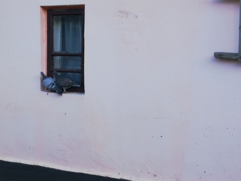  - 2019-MAI-PUI-ZBURATORI-ANTRENAMENTE