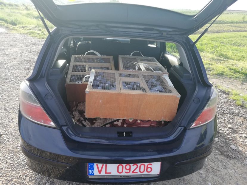  - 2019-MAI-PUI-ZBURATORI-ANTRENAMENTE