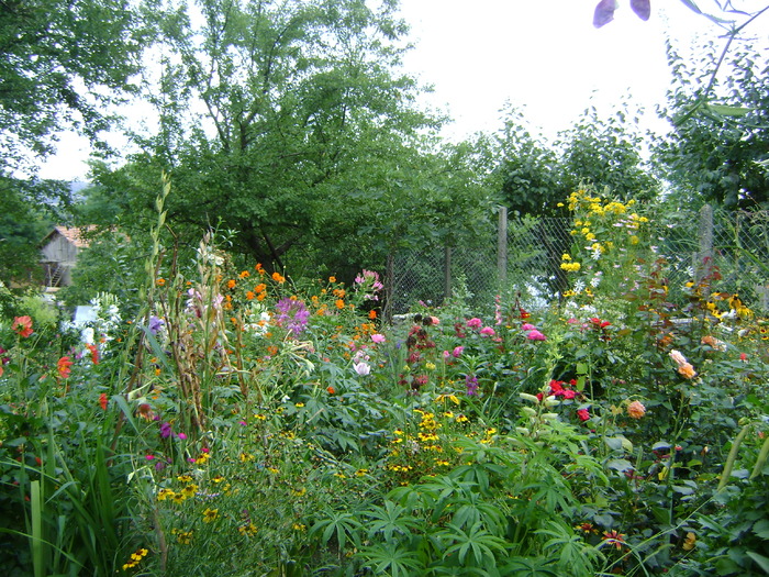 DSC01607
