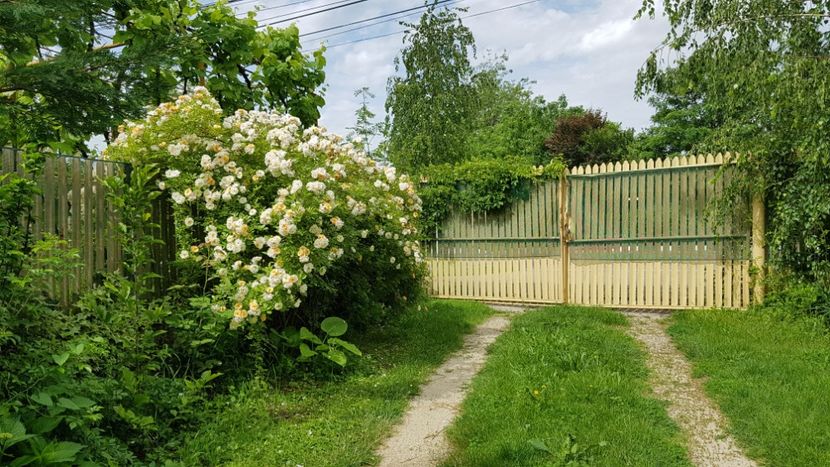  - 2019 Gradina Rozelor