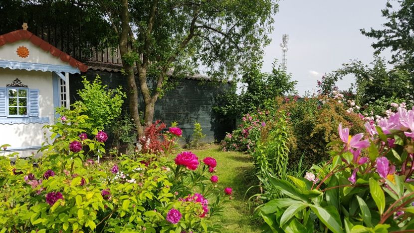  - 2019 Mai Idilic Garden