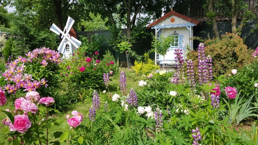  - 2019 Mai Idilic Garden