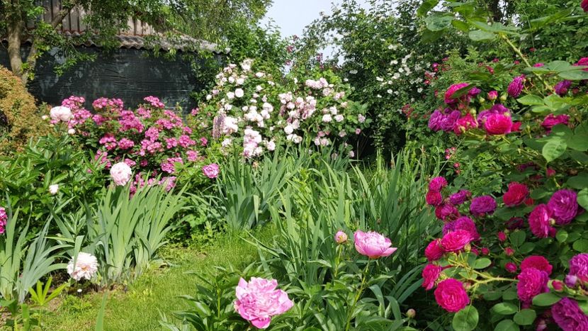  - 2019 Mai Idilic Garden