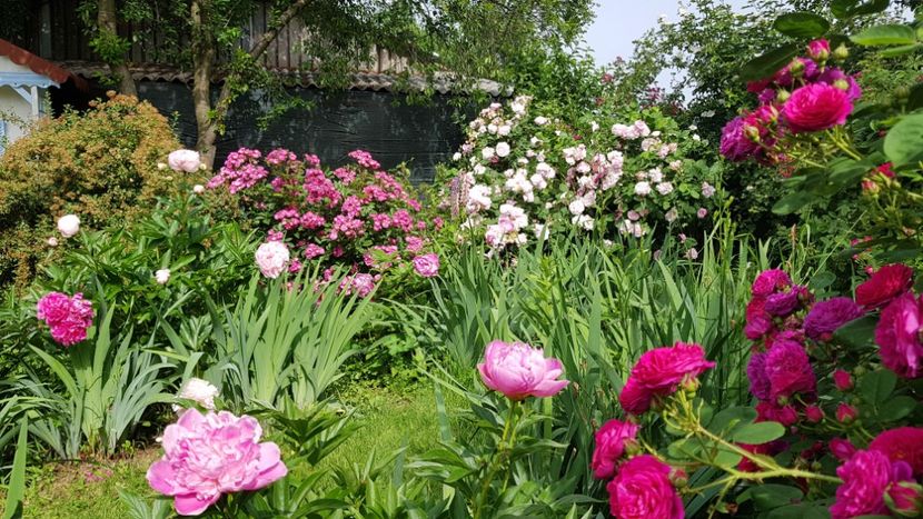  - 2019 Mai Idilic Garden