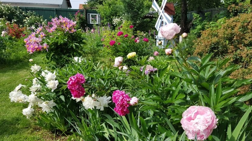  - 2019 Mai Idilic Garden