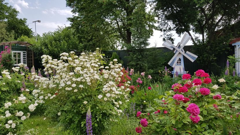  - 2019 Mai Idilic Garden