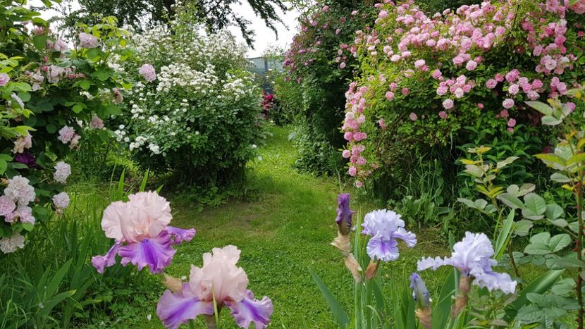  - 2019 Mai Idilic Garden