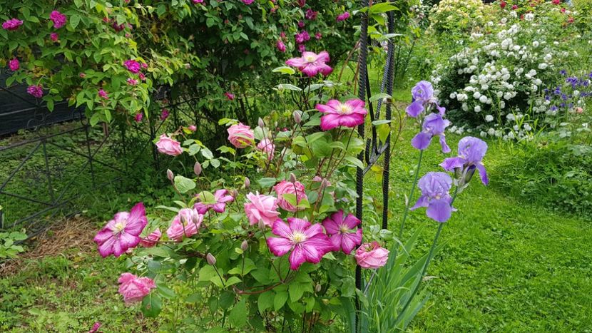  - 2019 Mai Idilic Garden