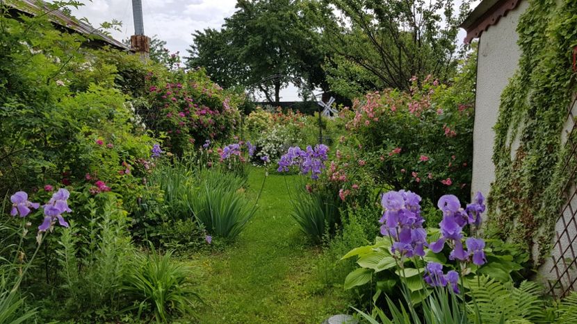  - 2019 Mai Idilic Garden