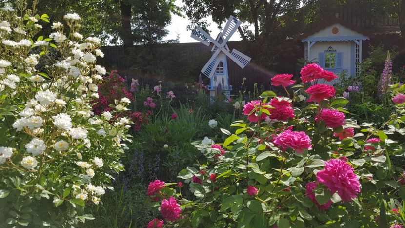  - 2019 Mai Idilic Garden