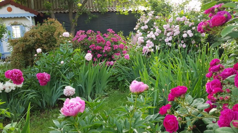  - 2019 Mai Idilic Garden