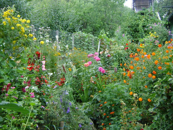 DSC01608