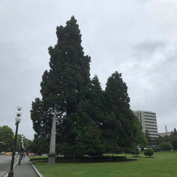  - Victoria_BC_Canada 2019