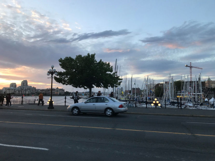  - Victoria_BC_Canada 2019