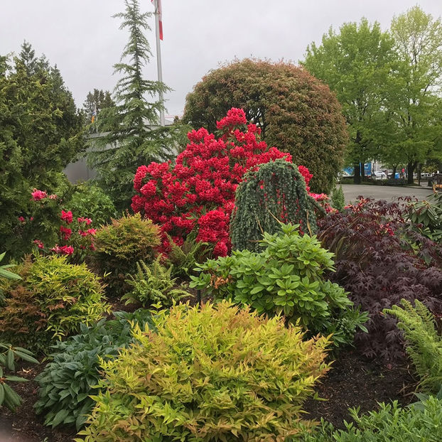  - Victoria_BC_Canada 2019