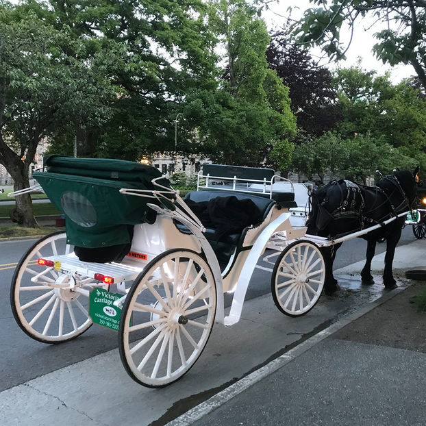  - Victoria_BC_Canada 2019