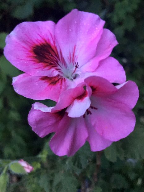 FE93772A-D601-4C74-AB26-E98753BA566B - 2019