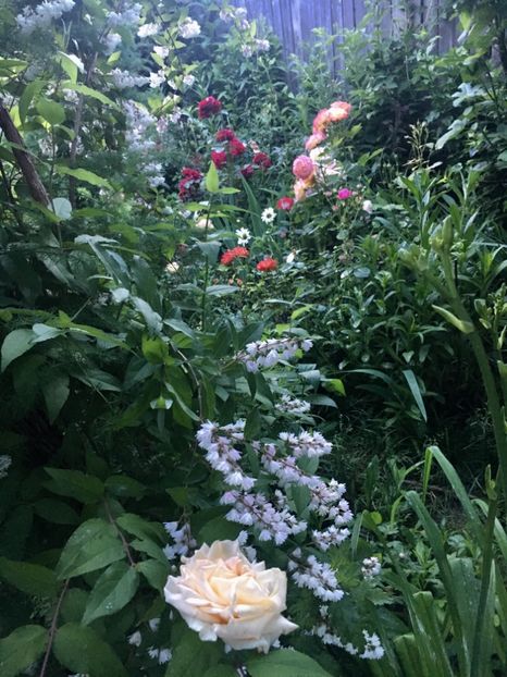 C9C82342-35DE-4AF0-A27D-1D8C54FFDAB9 - Mai 2019