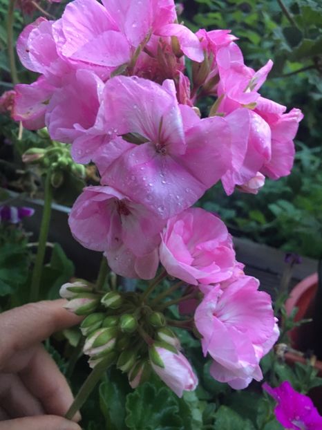 8B71D3DF-ABCC-4F30-ABFE-99E118E191D9 - 2019